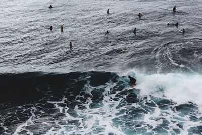 High angle view of people swimming in sea