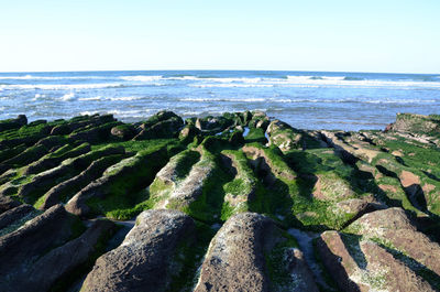 View of sea against sky