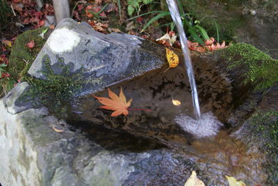 Close-up of water flowing through rocks