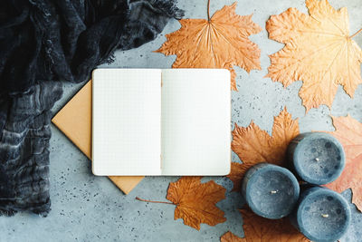 Directly above shot of open blank book with autumn maple leaves on table