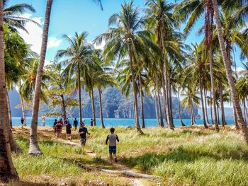 Rear view of people walking on palm trees