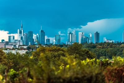 Trees and buildings against sky in city