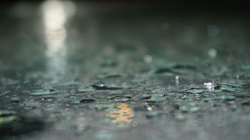 Close-up of water drops on surface