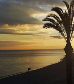 Silhouette palm tree on beach against sky during sunset