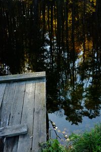 Scenic view of lake in forest