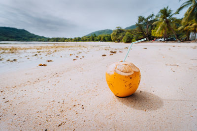 Close-up of orange fruit on sand