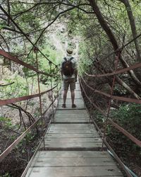 Rear view of man walking on walkway in forest