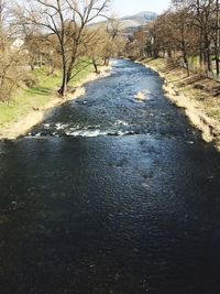 River amidst bare trees against sky