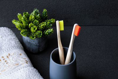 High angle view of potted plant on table