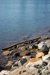High angle view of rocks at sea shore