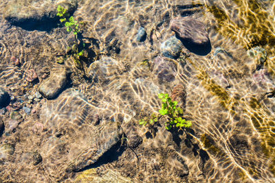 High angle view of shallow water