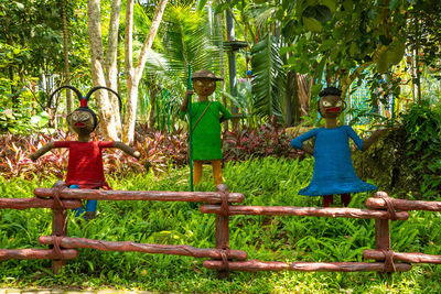 Trees and plants in forest