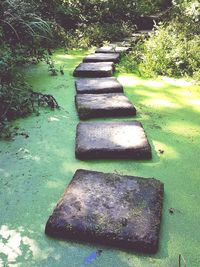 Stone footpath in park