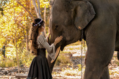 Side view of young woman touching elephant in forest