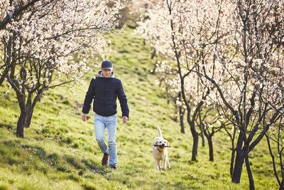 Man with dog walking on field in forest