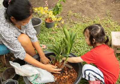 Rear view of girl sitting on plant