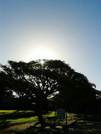 Trees on field against clear sky