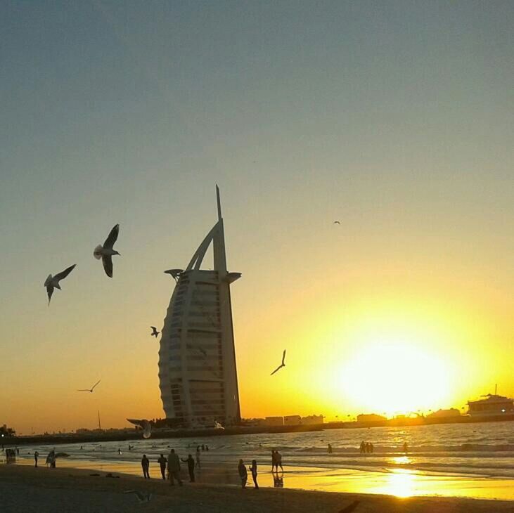 sunset, sun, flying, architecture, built structure, bird, building exterior, orange color, sky, clear sky, animal themes, travel, sunlight, mid-air, silhouette, travel destinations, transportation, tourism, sea, incidental people