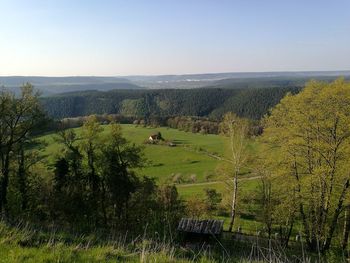 Scenic view of field against clear sky