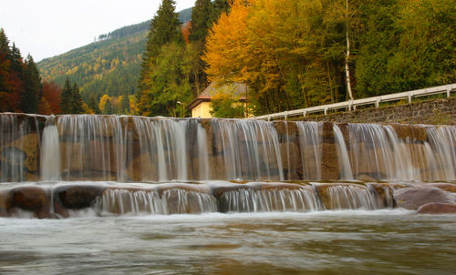 Scenic view of waterfall in forest