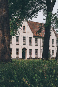 House on field