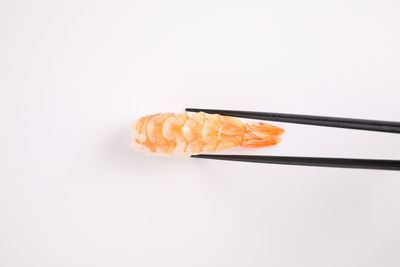 Close-up of sushi against white background