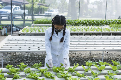 Happy young asian farmer checking green lettuce salad organic hydroponic vegetables in nursery farm.