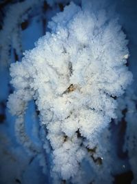 Close-up of snow