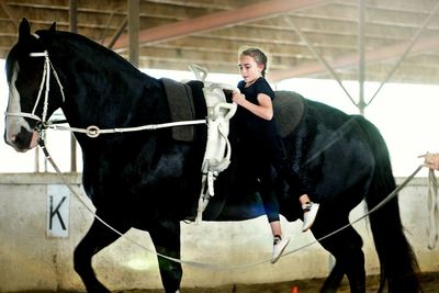 Full length of girl on horse at stable