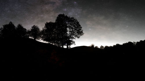 Low angle view of silhouette trees against sky at night