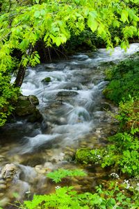 Scenic view of waterfall