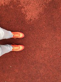 Low section of person standing on red shoes