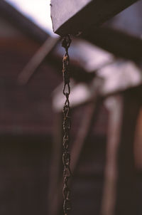 Close-up of metallic fence