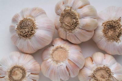 Close-up of garlic