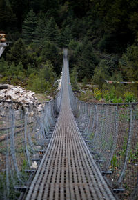 Footbridge amidst trees in forest