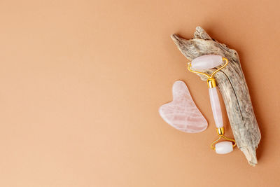 High angle view of shells on table