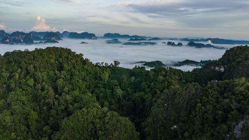 Panoramic view of trees and sea against sky