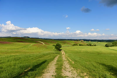 Scenic view of field against sky