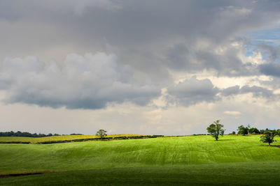 A green field against clouds in the sky in scotland