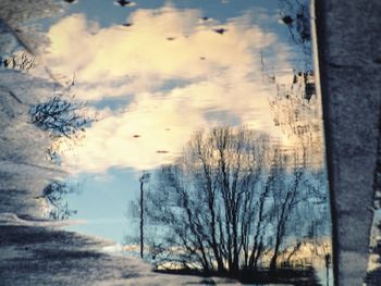 Scenic view of forest against sky during winter