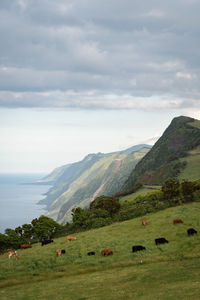 Scenic view of landscape and mountains against sky