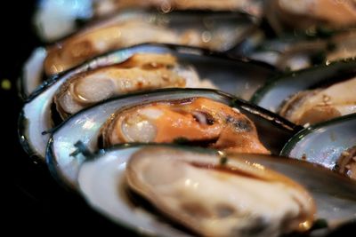 Close-up of fish served in plate