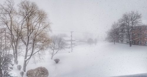 Snow covered trees against sky