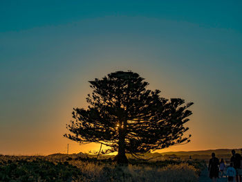 Silhouette tree on field against sky during sunset