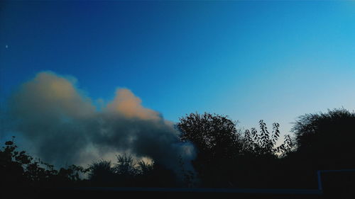 Low angle view of silhouette trees against blue sky