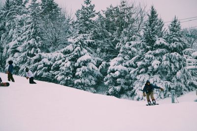 Scenic view of snow covered tree