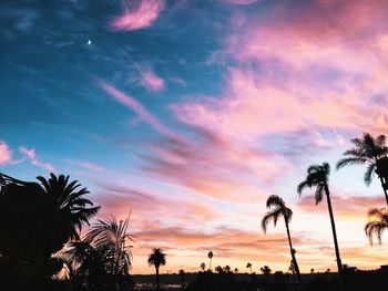 Silhouette of palm trees against dramatic sky