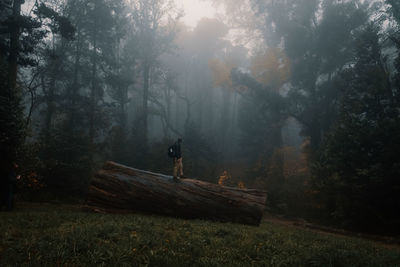 Man standing on field against trees in forest