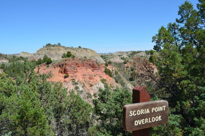 Information sign by trees against clear blue sky