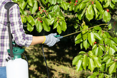 Man working on plant